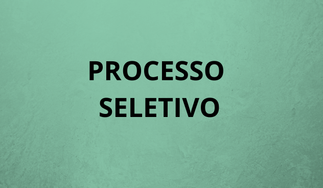 PROCESSO SELETIVO (1)